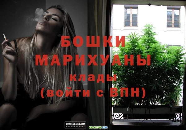 PSILOCYBIN Бабаево