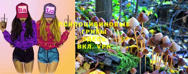 ALPHA PVP Михайлов