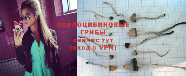 PSILOCYBIN Бабаево
