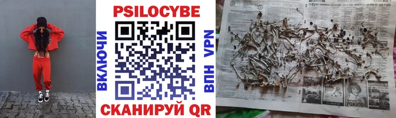 мориарти формула Орёл Псилоцибиновые грибы Psilocybe